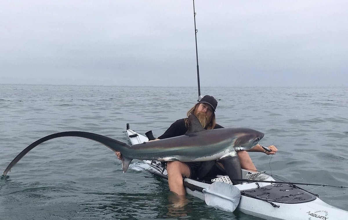 Chasing Laser Beams: Kayak Thresher Sharks Terra Firma Tackle Chasing Laser Beams: Kayak Thresher Sharks Terra Firma Tackle
