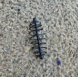 Inline Spring Feeders for Carp Fishing 3-Pack (Asian Style)