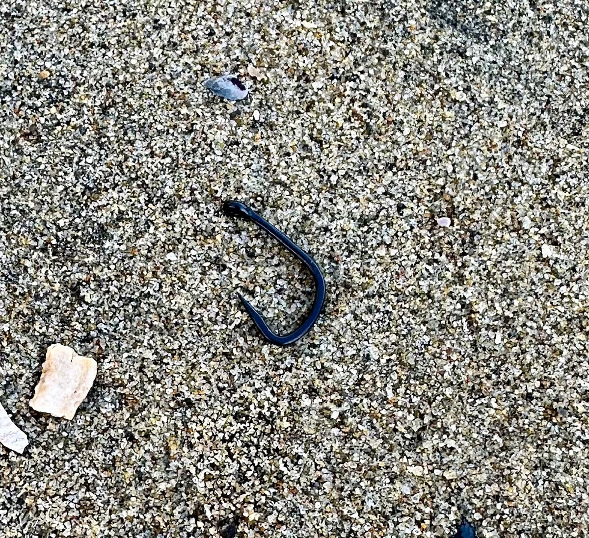 Carp Fishing Specialty Hooks (European Style) Terra Firma Tackle