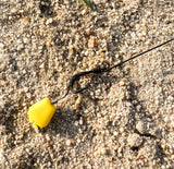 Blow-Back Hair Rig For Carp Fishing (European Style)