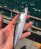 Heavy Bait Elastic - 200M