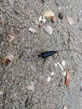 "Baby Killer" Surf Fishing Rigs - Bait / Pompano / Small Game Fishing