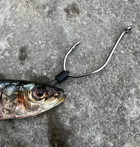 bridle hook fishing Bridle Clip / Big Game Hair Bait Rigging Kit